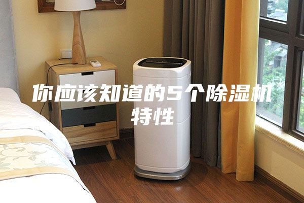 你應該知道的5個除濕機特性