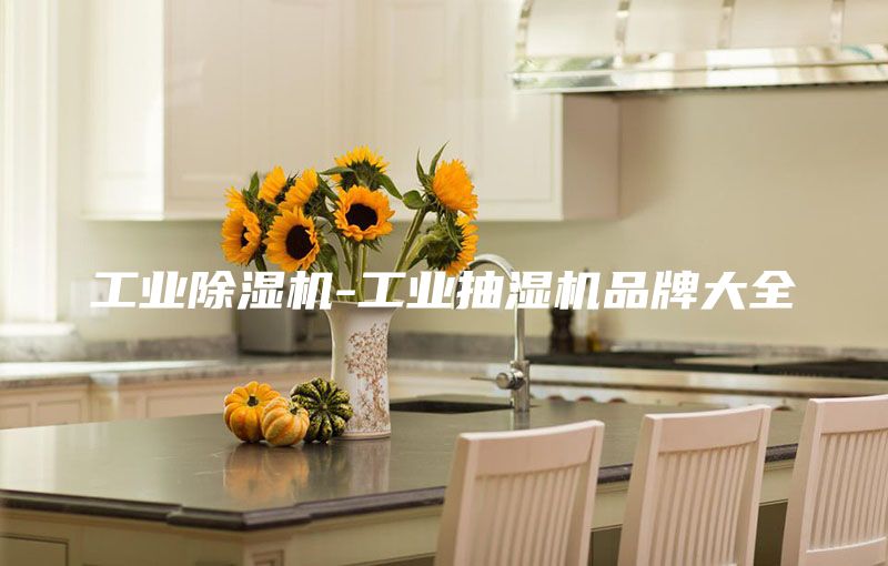 工業(yè)除濕機(jī)-工業(yè)抽濕機(jī)品牌大全
