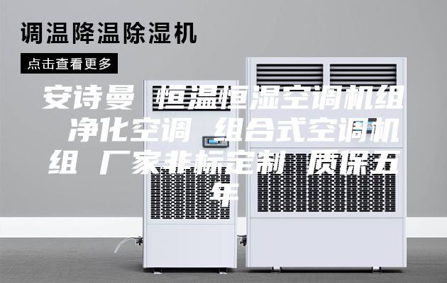 安詩曼 恒溫恒濕空調(diào)機(jī)組 凈化空調(diào) 組合式空調(diào)機(jī)組 廠家非標(biāo)定制 質(zhì)保五年
