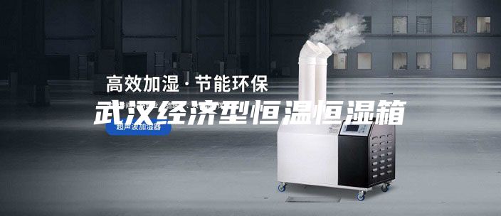 武漢經(jīng)濟型恒溫恒濕箱