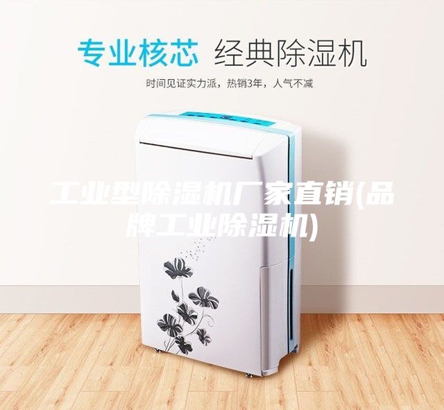 工業(yè)型除濕機(jī)廠家直銷(xiāo)(品牌工業(yè)除濕機(jī))