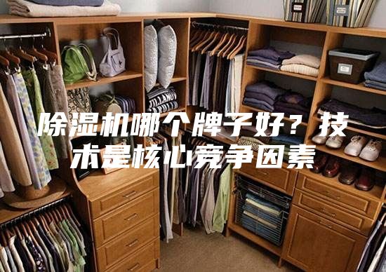 除濕機(jī)哪個(gè)牌子好？技術(shù)是核心競(jìng)爭(zhēng)因素