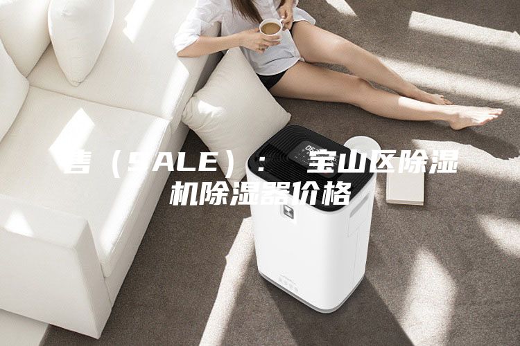 售（SALE）： 寶山區除濕機除濕器價格