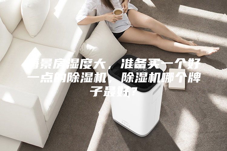 海景房濕度大,準備買一個好一點的除濕機,除濕機哪個牌子最好?