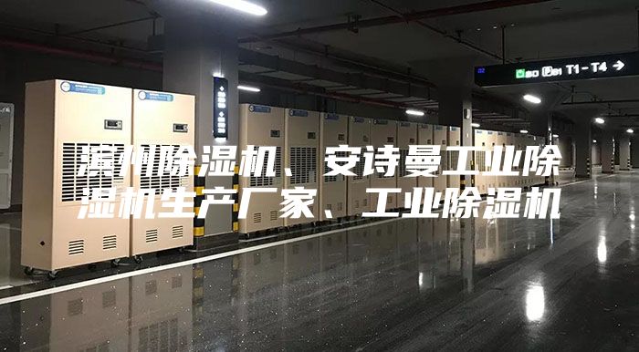 濱州除濕機、安詩曼工業(yè)除濕機生產廠家、工業(yè)除濕機
