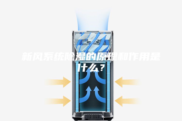 新風系統除濕的原理和作用是什么?