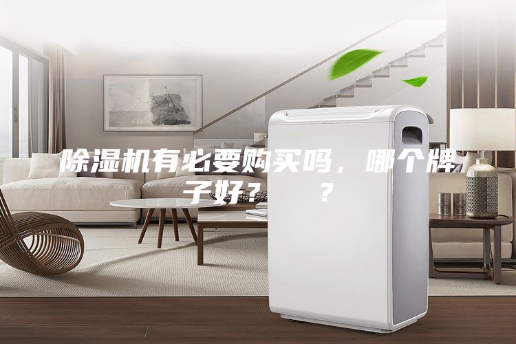 除濕機有必要購買嗎,哪個牌子好? ?