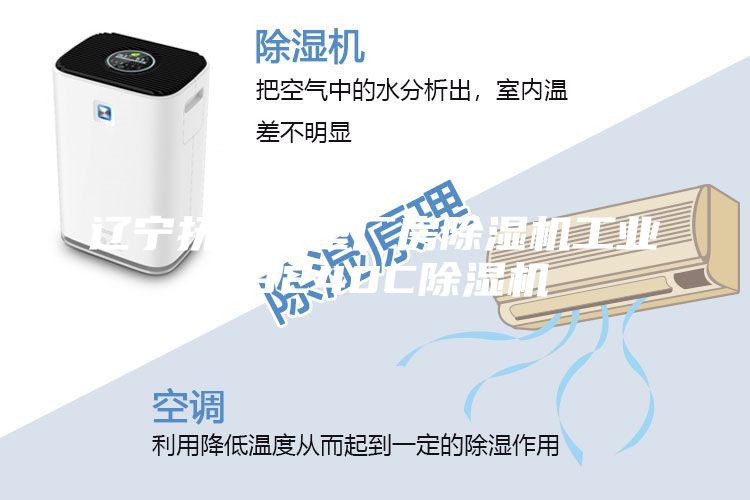 遼寧撫順大型廠房除濕機工業(yè)級9240C除濕機