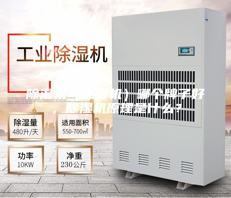 除濕機(抽濕機)哪個牌子好,除濕機原理是什么?
