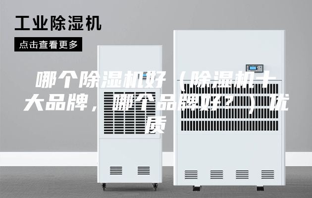 哪個(gè)除濕機(jī)好（除濕機(jī)十大品牌，哪個(gè)品牌好？）優(yōu)質(zhì)
