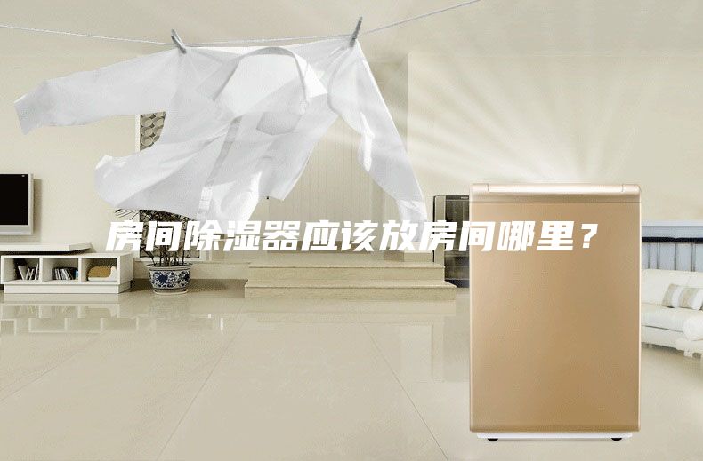 房間除濕器應(yīng)該放房間哪里？