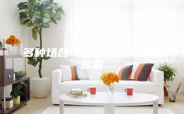 多種場合可移動工業(yè)防潮除濕機(jī)