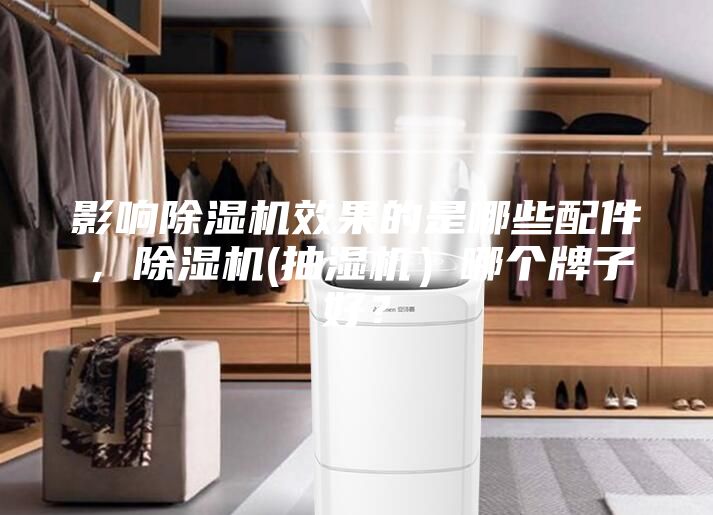 影響除濕機效果的是哪些配件，除濕機(抽濕機）哪個牌子好？
