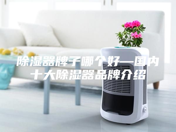除濕器牌子哪個(gè)好—國內(nèi)十大除濕器品牌介紹
