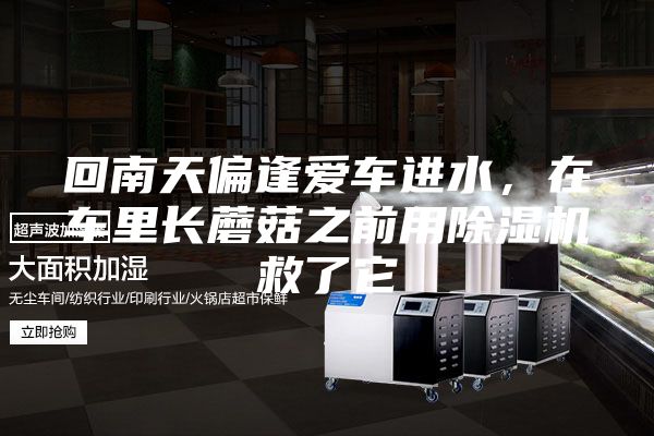 回南天偏逢愛車進水,在車里長蘑菇之前用除濕機救了它