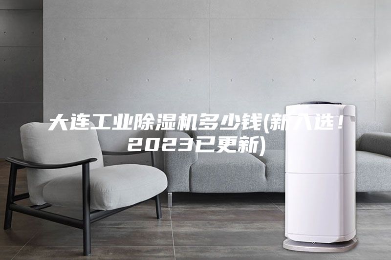 大連工業(yè)除濕機(jī)多少錢(qián)(新入選!2023已更新)