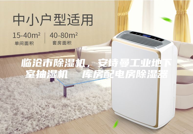 臨滄市除濕機(jī)，安詩(shī)曼工業(yè)地下室抽濕機(jī)  庫(kù)房配電房除濕器