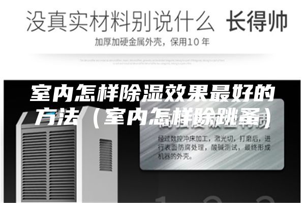 室內怎樣除濕效果最好的方法(室內怎樣除跳蚤)
