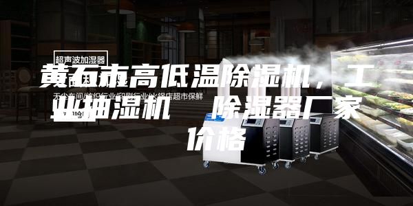 黃石市高低溫除濕機(jī)，工業(yè)抽濕機(jī)  除濕器廠家 價(jià)格