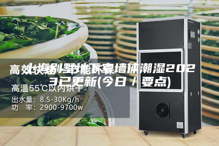 上海別墅地下室墻體潮濕2023已更新(今日／要點(diǎn))