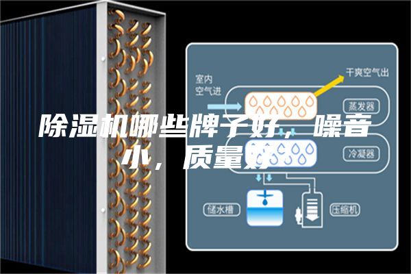 除濕機(jī)哪些牌子好,噪音小,質(zhì)量好?