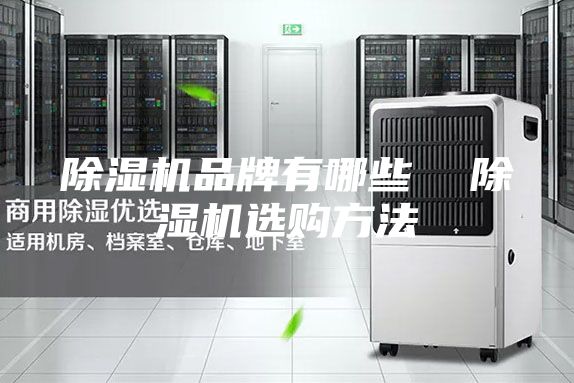 除濕機(jī)品牌有哪些 除濕機(jī)選購方法