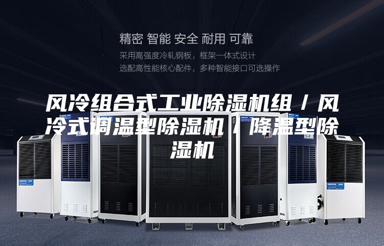 風(fēng)冷組合式工業(yè)除濕機組/風(fēng)冷式調(diào)溫型除濕機/降溫型除濕機