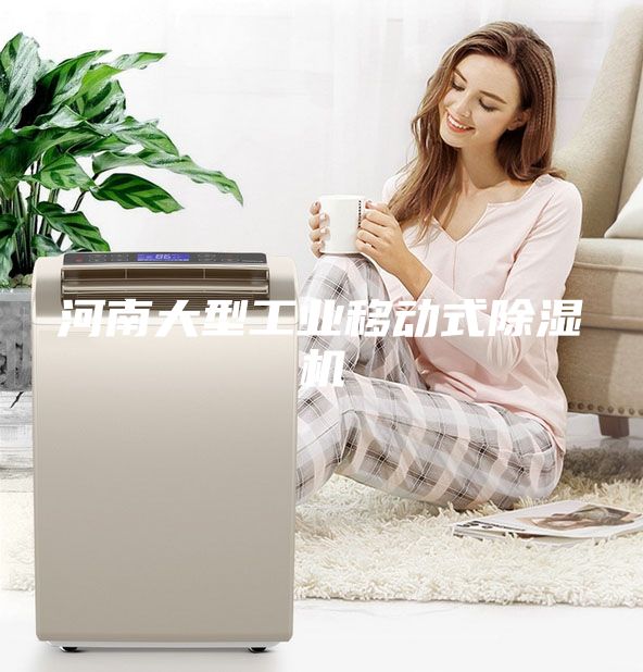 河南大型工業移動式除濕機