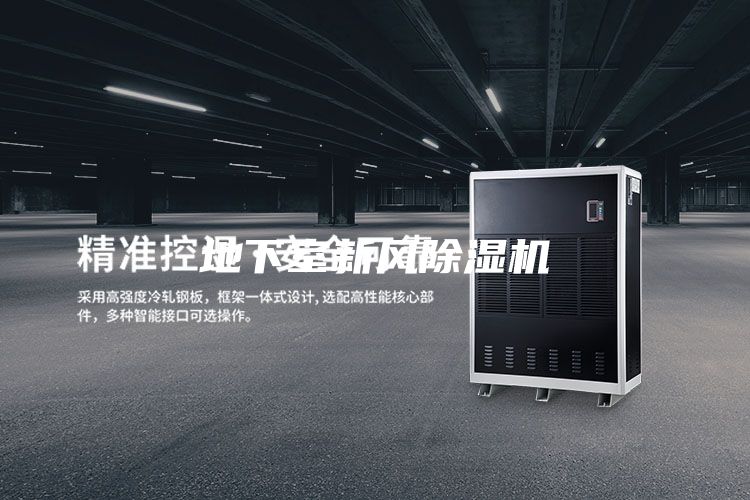 地下室新風(fēng)除濕機