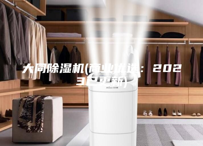 大同除濕機(商業優選:2023已更新)