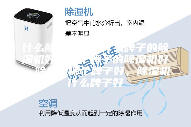 什么除濕機好,什么牌子的除濕機好,哪個牌子的除濕機好,除濕機哪個牌子好,除濕機什么牌子好