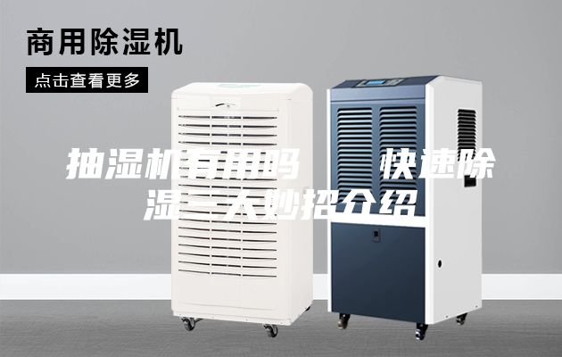 抽濕機有用嗎   快速除濕三大妙招介紹