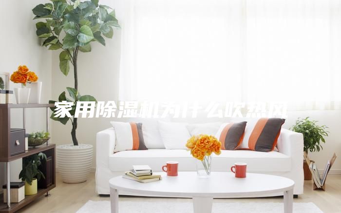 家用除濕機(jī)為什么吹熱風(fēng)