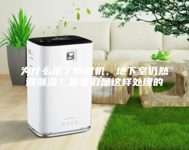 為什么用了除濕機,地下室仍然很潮濕?富豪們是這樣處理的