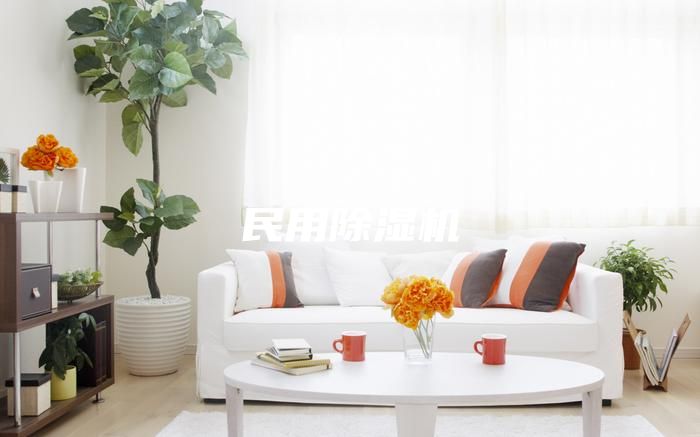 民用除濕機(jī)