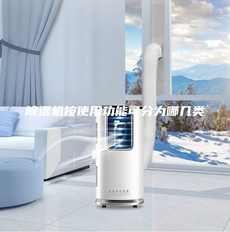 除濕機按使用功能可分為哪幾類？