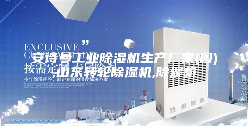 安詩曼工業(yè)除濕機生產廠家(圖),山東轉輪除濕機,除濕機
