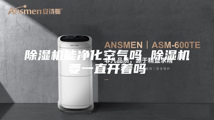 除濕機(jī)能凈化空氣嗎 除濕機(jī)要一直開著嗎