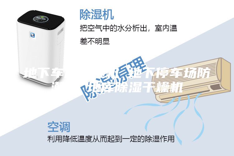 地下車庫(kù)除濕機(jī) 地下停車場(chǎng)防潮機(jī) 地庫(kù)除濕干燥機(jī)