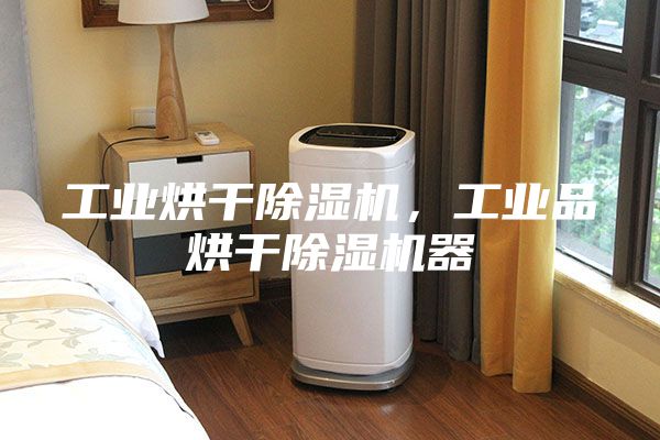 工業(yè)烘干除濕機(jī),工業(yè)品烘干除濕機(jī)器