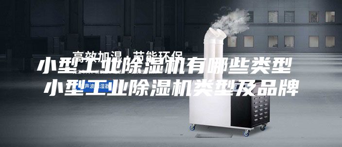 小型工業(yè)除濕機有哪些類型 小型工業(yè)除濕機類型及品牌