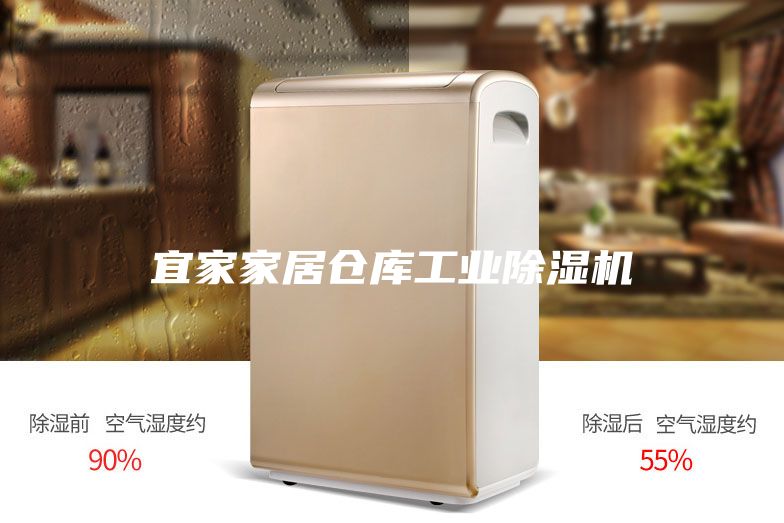 宜家家居倉庫工業(yè)除濕機(jī)