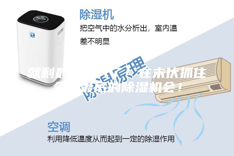 就剩最后一天了！在末伏抓住今年最后的除濕機會！