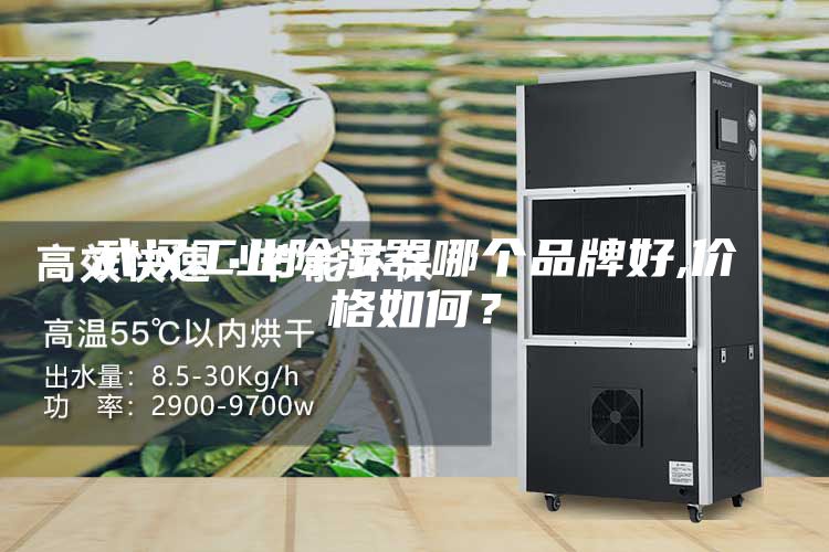 武漢工業(yè)除濕器哪個品牌好,價格如何?