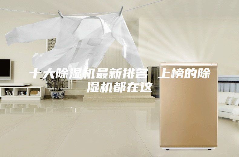 十大除濕機(jī)最新排名 上榜的除濕機(jī)都在這