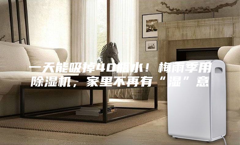 一天能吸掉40瓶水!梅雨季用除濕機(jī),家里不再有“濕”意