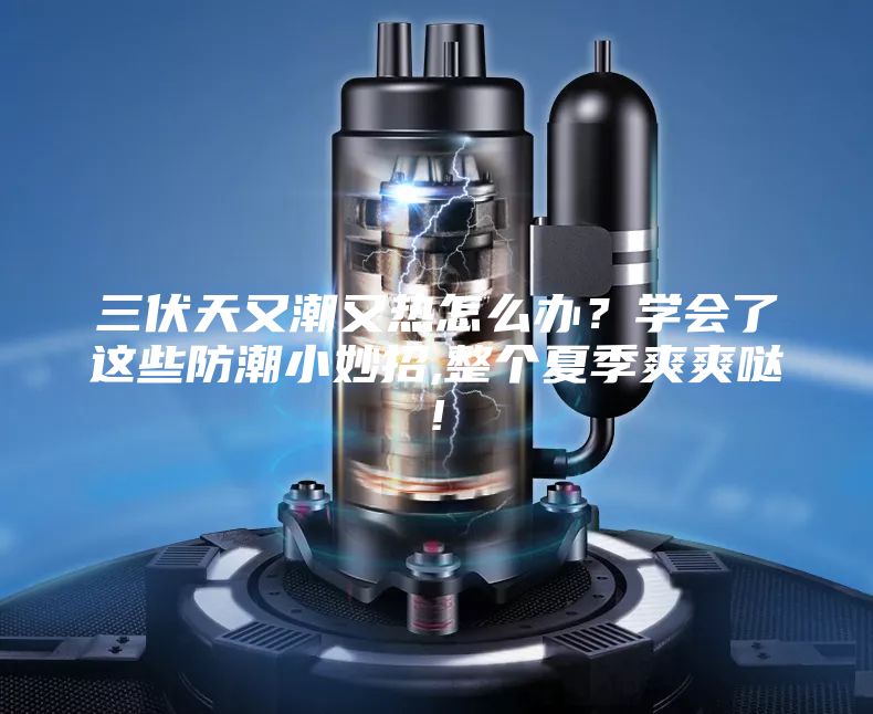 三伏天又潮又熱怎么辦？學會了這些防潮小妙招,整個夏季爽爽噠!