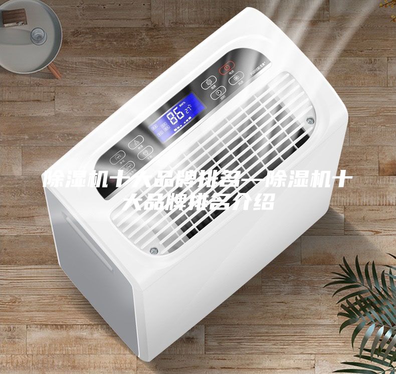 除濕機(jī)十大品牌排名—除濕機(jī)十大品牌排名介紹
