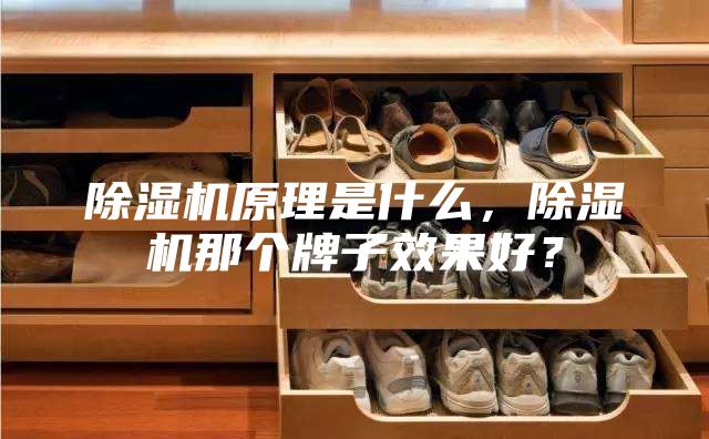 除濕機原理是什么,除濕機那個牌子效果好?