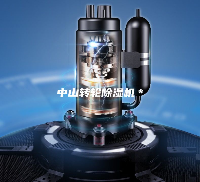 中山轉(zhuǎn)輪除濕機*